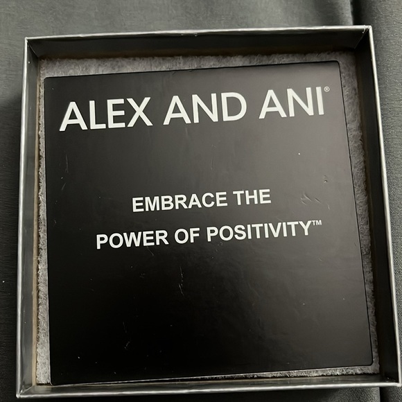 “Alex and Ani: N Initial Bracelet” - Picture 4 of 5